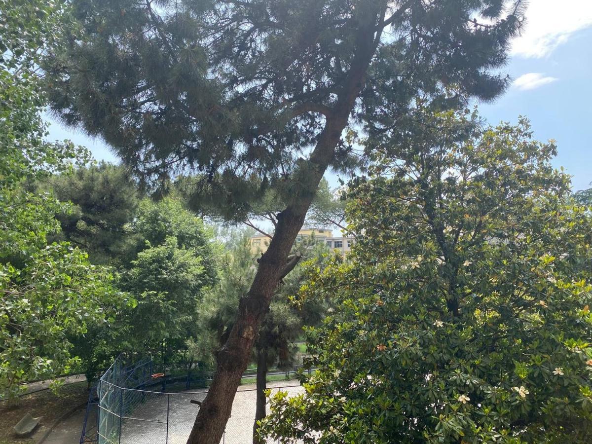 Oasi Verde Hotel Napoli Eksteriør billede